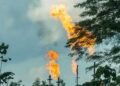 Waste to wealth: Turning gas flaring into opportunity in Niger Delta – EnviroNews