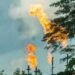 Waste to wealth: Turning gas flaring into opportunity in Niger Delta – EnviroNews