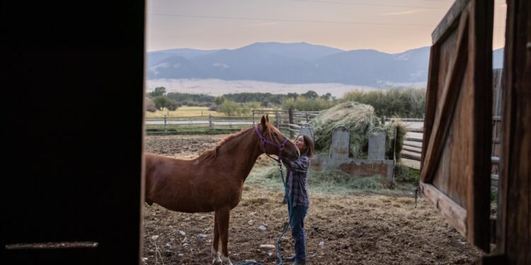 What’s it like to be a cow?