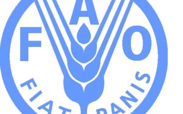 World Food Forum Zimbabwe Youth Chapter Engages FAO