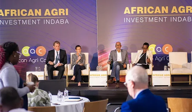 Your farm, Africa’s future: building a self-sufficient continent