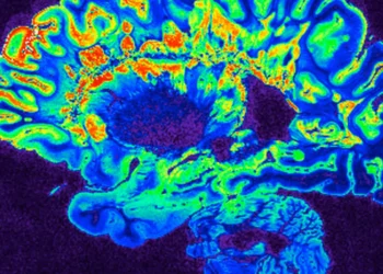 Zenas looks to China to stock pipeline with 3 more immune drugs