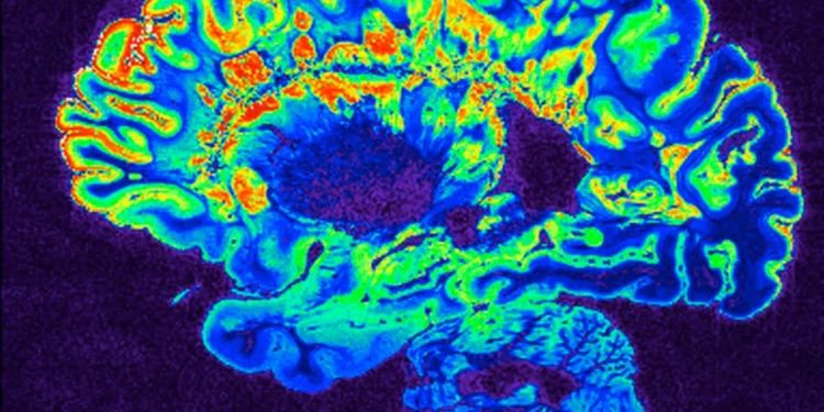 Zenas looks to China to stock pipeline with 3 more immune drugs