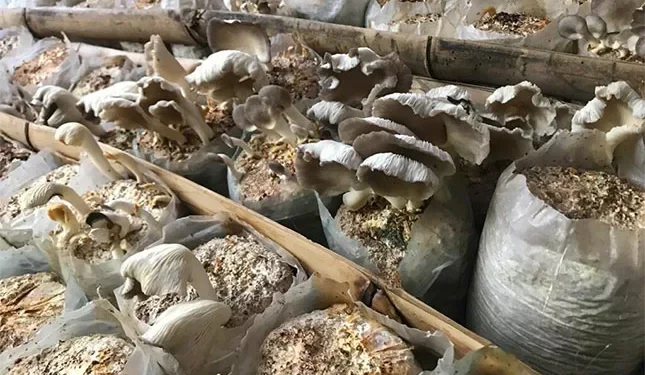 those who act fast to fill supply gaps will score