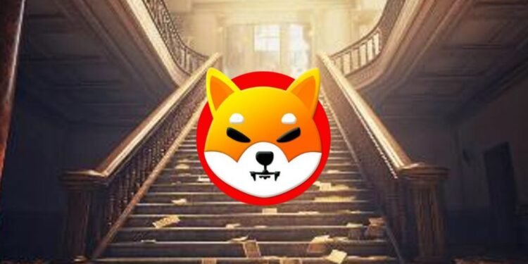 $1,000 in Shiba Inu Dipped to $2, Then Went Up to $55 Million