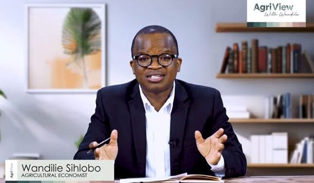 A Great Year for Global Wheat Production