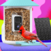 Amazon Is Having a Huge Black Friday Sale on Birdfy Smart Bird Feeders (2025)
