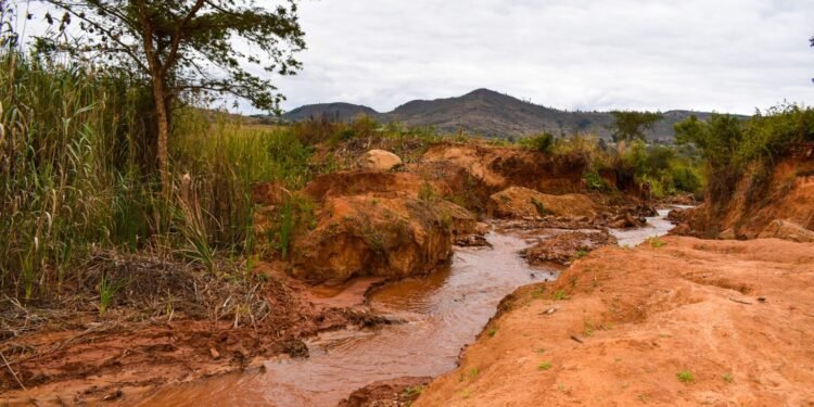 Chinese Mining Stirs Up Anger in Zimbabwe
