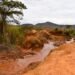 Chinese Mining Stirs Up Anger in Zimbabwe