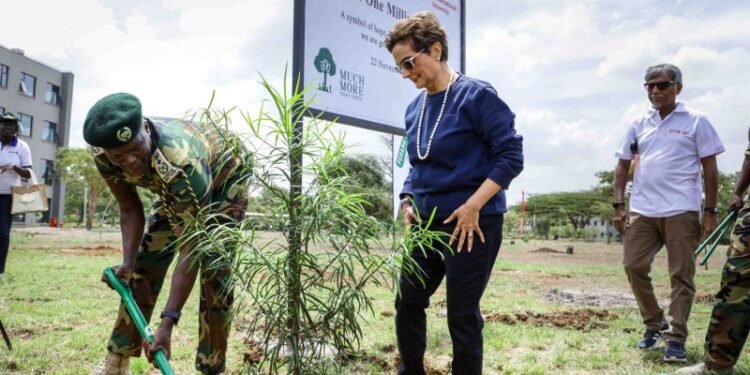 DTB Celebrates Major Sustainability Milestone with One Million Trees Grown