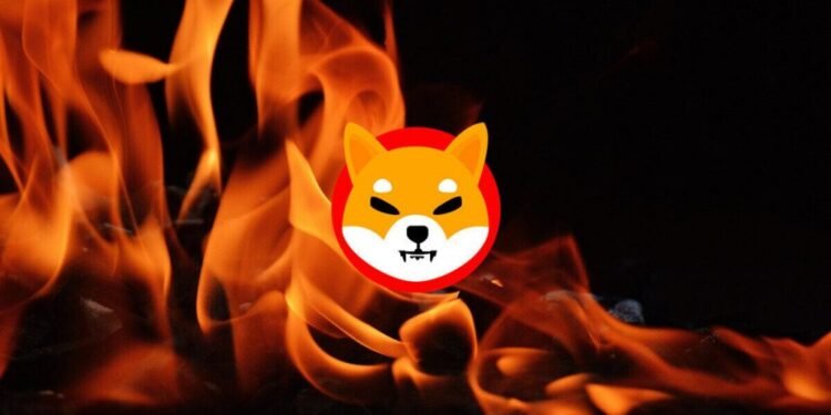 Everyone’s Talking About Shiba Inu 2026: But Should You Stay or Skip?