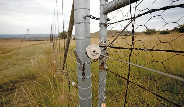 First case of Foot-and-Mouth Disease confirmed in Western Cape