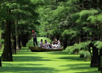 Forest tourism, Tanzania learns from China