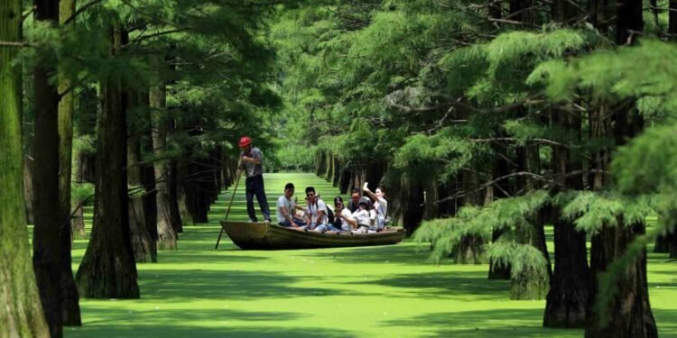 Forest tourism, Tanzania learns from China