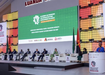 Game-changing $18bn commitment made to Africa at Luanda summit