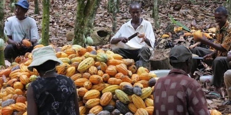 Ghana secures major trade win as U.S. reverses 15% tariffs on cocoa, other agricultural goods