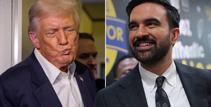 How Ugandan-born Zohran Mamdani toppled billionaires and Trump to become mayor of New York