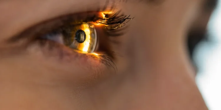 Lilly picks up an eye gene therapy in deal with MeiraGTx