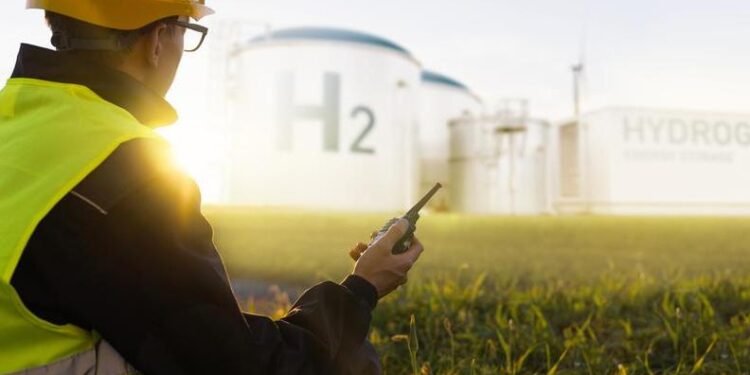 ‘Middle East’s decarbonisation path shaped by cost, technology maturity and policy’