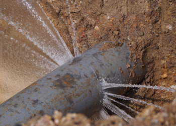 Navigating The Revised Norms And Standards