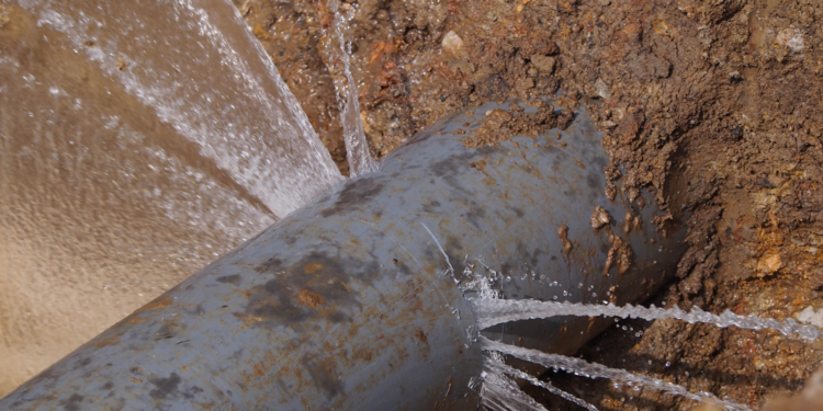 Navigating The Revised Norms And Standards