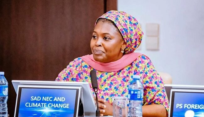 Nigeria reaffirms resolve to champion climate change solutions in Africa – EnviroNews