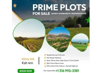 Prime Plot for Sale by Owner at Miti Mingi Near Nakuru with Title