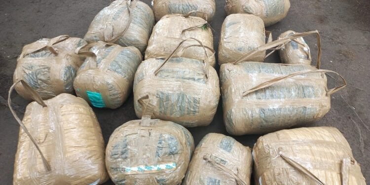 SANDF boots on the ground net millions in contraband and drugs during October