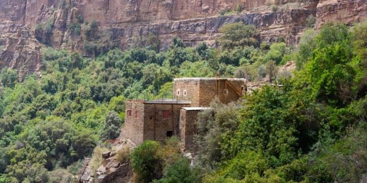 Saudi Arabia’s Soudah Development appoints WSP to plan remaining areas of Soudah Peaks