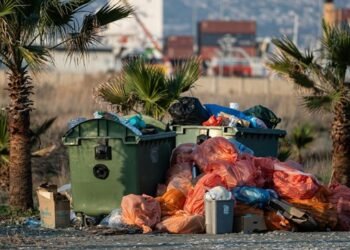 Smart cities need smart waste management