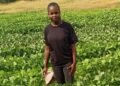 Strategies needed to attract more African agri graduates to farming