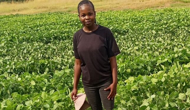 Strategies needed to attract more African agri graduates to farming