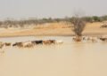 The Climate Action Window of the African Development Fund grants over $9 million to strengthen climate resilience in the Sahel’s main catchment basins