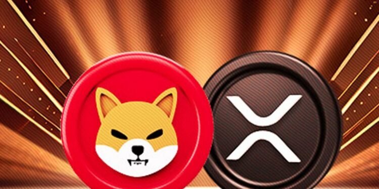 The Day Momentum Finally Snaps Into a Full Rally