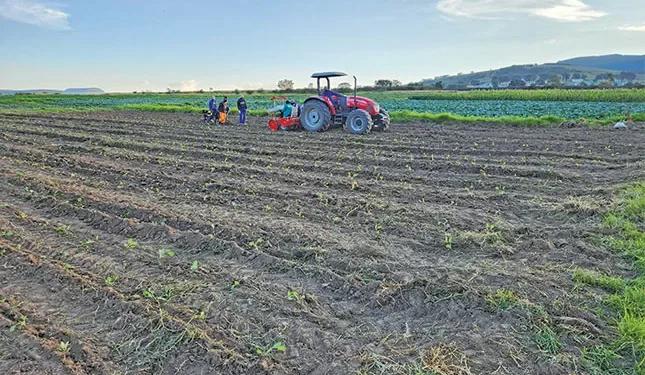 Veggie farmer proves success is possible on communal land
