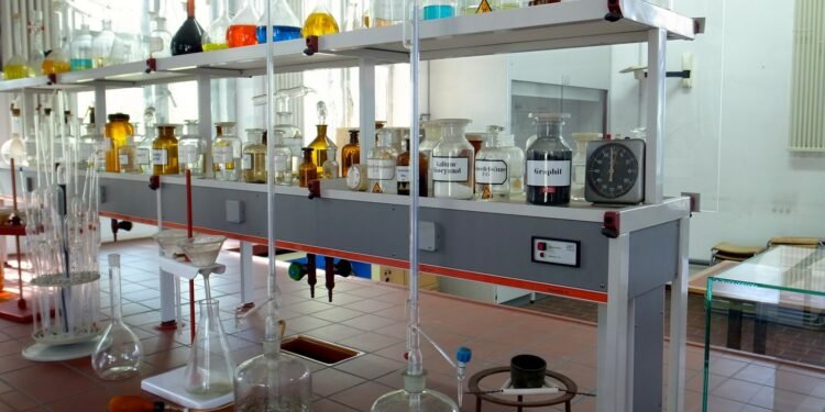 What Europe’s AI education experiments can teach a business