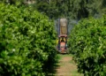 Why the EU’s pesticide rules don’t fit South Africa