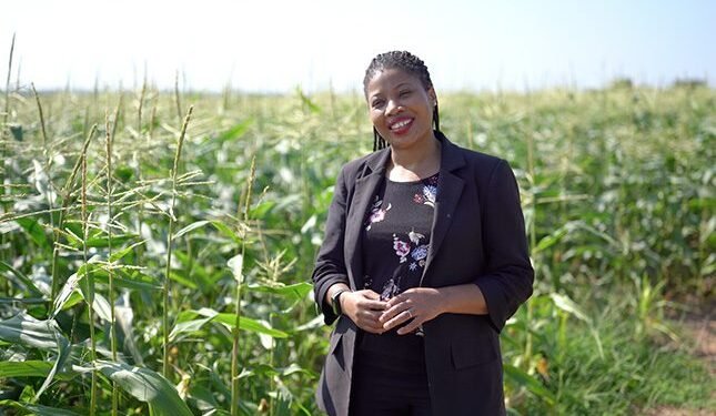 how a bursary led to new possibilities