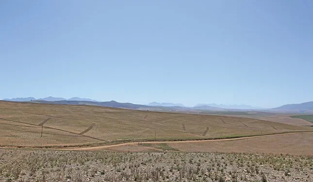 we have underestimated a pillar of our economy