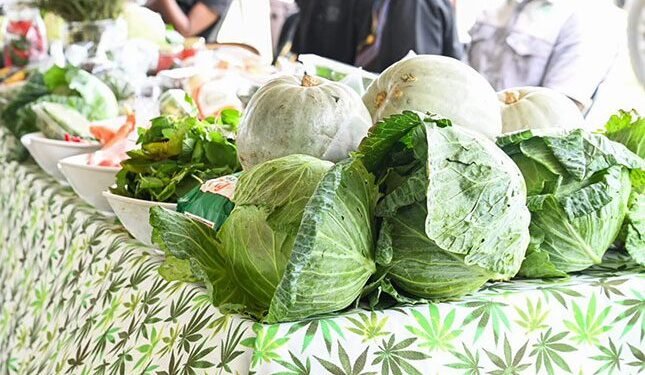 Botswana reinstates vegetable import ban from South Africa