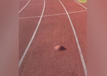 Concerns Grow Over Track Conditions at Usain Bolt Sports Complex