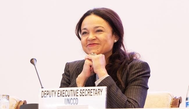 Every inch of land counts for survival of Small Island Developing States – UNCCD – EnviroNews