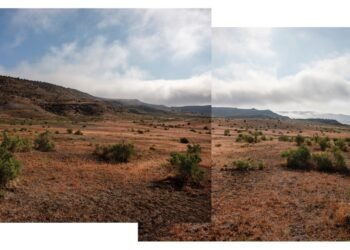 How ranchers accused of breaking the rules dodge oversight