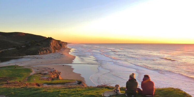 IBM cites agentic AI, data policies, and quantum as 2026 trends