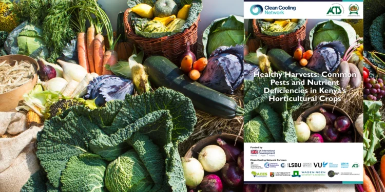 Improving Horticultural Quality Through Better Crop Management: ACES/SPOKE Farmer Resource