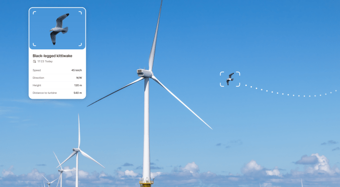 Interest in Spoor’s bird-monitoring AI software is soaring