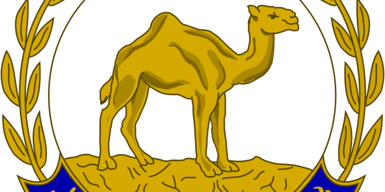 Livestock vaccination in Molqui sub-zone