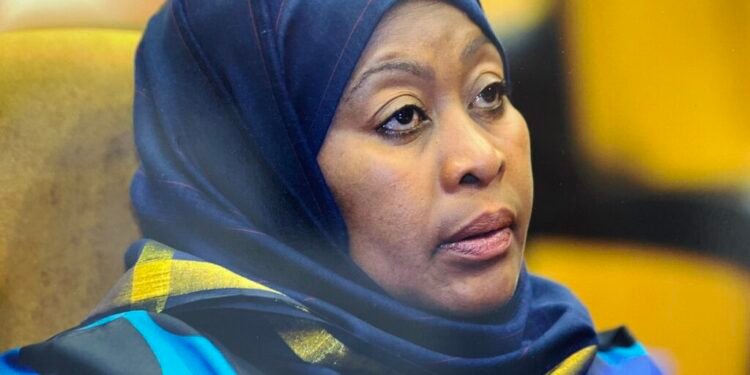 Modern railways drive Tanzania’s economic ambitions