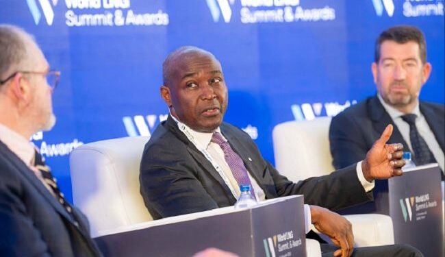 NLNG outlines path to sustainable LNG at World Summit – EnviroNews