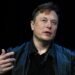 Officials in South Africa are torn by the decision to make Elon Musk’s company legal